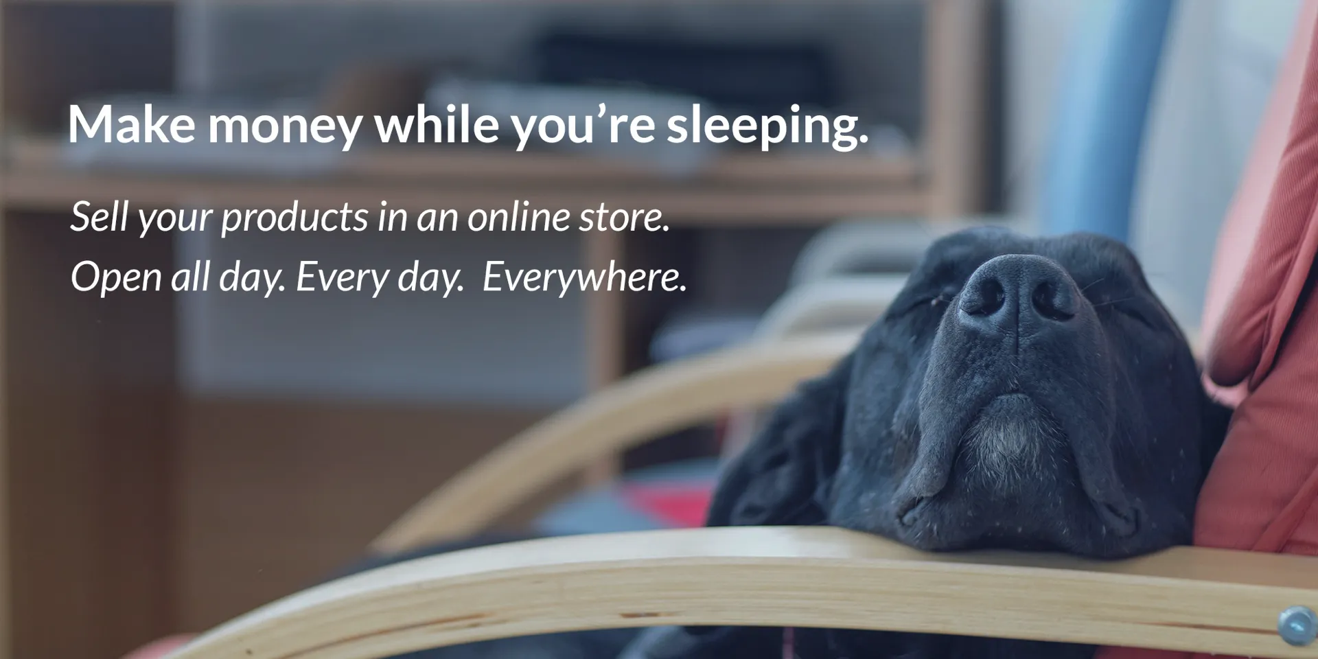 ecommercedog-2